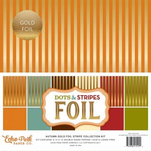 DSF17036_Autumn_Gold_Foil_Stripe_Cover-min (1)